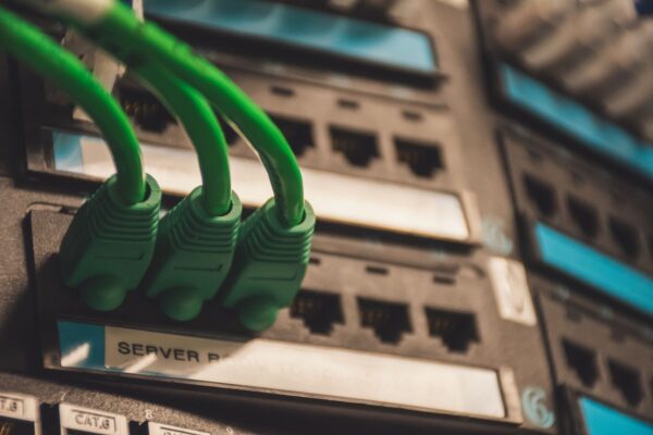 Network cables plugged into a server